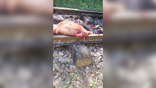Train's Brutal Toll: Victim Continues to Move in Pure Agony