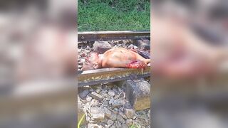 Train's Brutal Toll: Victim Continues to Move in Pure Agony