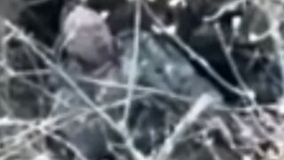 The wounded Orc ended it himself