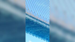 Looks Like He ChoseA Tallest Bridge In  The Area