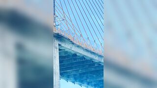 Looks Like He ChoseA Tallest Bridge In  The Area