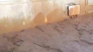 Bus Overturns into Water in Afghanistan