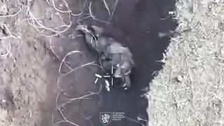Typical Russian meat assault = dozens of dead.