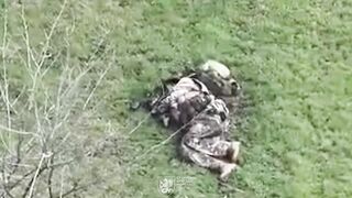 Typical Russian meat assault = dozens of dead.