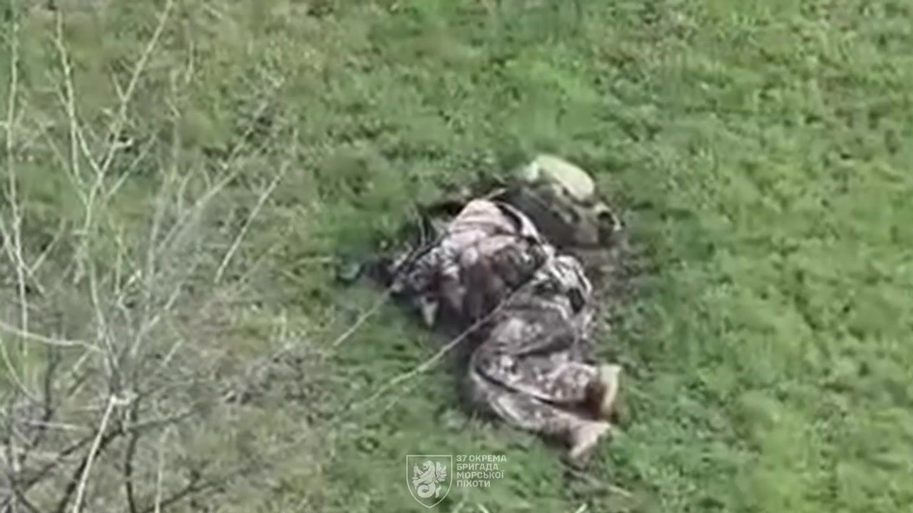 Typical Russian meat assault = dozens of dead.