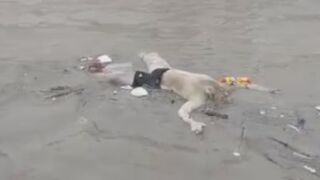 Sucks To Die Like This