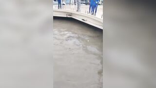Sucks To Die Like This