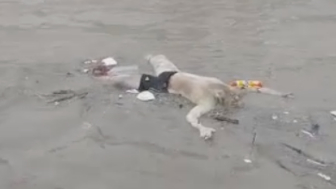 Sucks To Die Like This