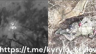 Slow and painful death of the Russhits