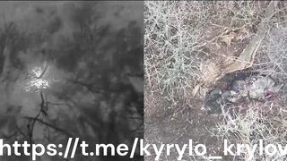 Slow and painful death of the Russhits