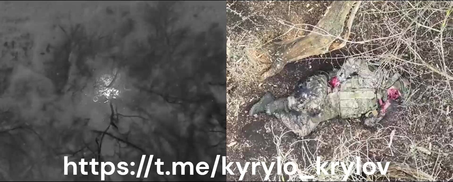 Slow and painful death of the Russhits