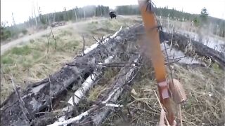 Human Vs Animal Game（Compilation）