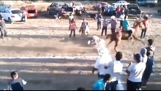 Human vs animal game（compilation）