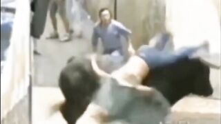 Human Vs Animal Game（Compilation）