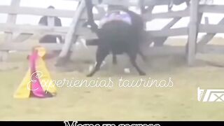 Damn Peruvian being killed by the bull.