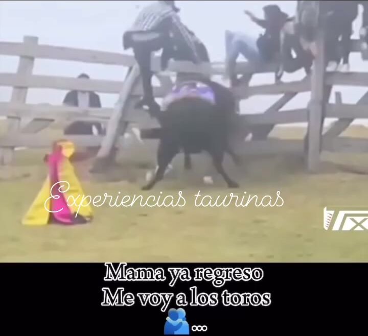 Damn Peruvian being killed by the bull.