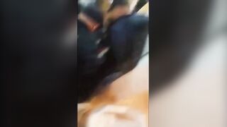 Intoxicated Male Armed With Machete Mauled By Police Dog