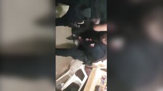 Intoxicated Male Armed With Machete Mauled By Police Dog