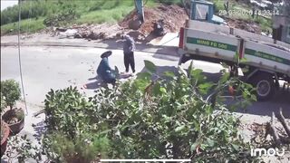 Elderly Man Killed by Falling Branch While Walking Under Pruning Site