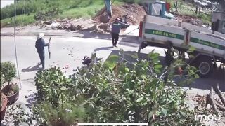 Elderly Man Killed by Falling Branch While Walking Under Pruning Site