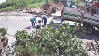 Elderly Man Killed by Falling Branch While Walking Under Pruning Site