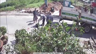 Elderly Man Killed by Falling Branch While Walking Under Pruning Site