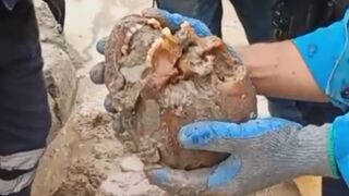 Construction Site Workers Made A Gruesome Discovery