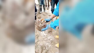 Construction Site Workers Made A Gruesome Discovery