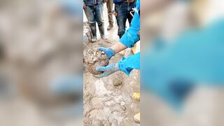 Construction Site Workers Made A Gruesome Discovery