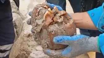 Construction Site Workers Made A Gruesome Discovery