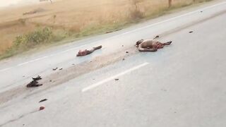 Road carnage