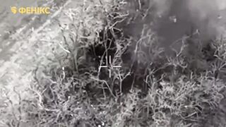 Fenix ​​unit kills Russhits