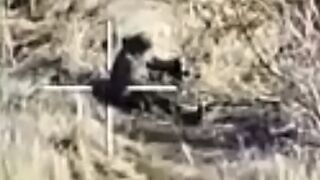 Orc picks up an unexploded drone and activates the detonator