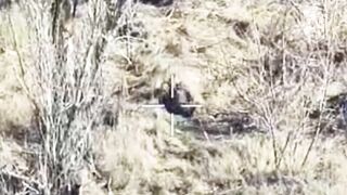 Orc picks up an unexploded drone and activates the detonator