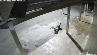 Drunk Man Lying On The Street Randomly Attacked With A Rock