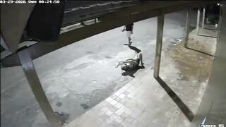 Drunk Man Lying On The Street Randomly Attacked With A Rock