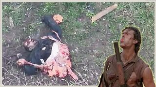 GROOVY! Russian Savagely Ripped in Half. Agony Ensues!