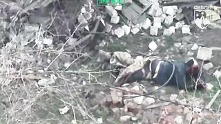 GROOVY! Russian Savagely Ripped in Half. Agony Ensues!