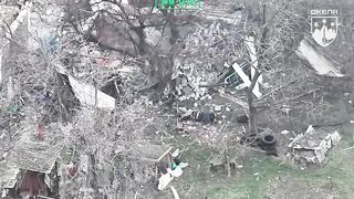 GROOVY! Russian Savagely Ripped in Half. Agony Ensues!