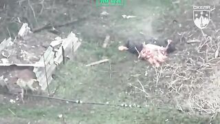 GROOVY! Russian Savagely Ripped in Half. Agony Ensues!