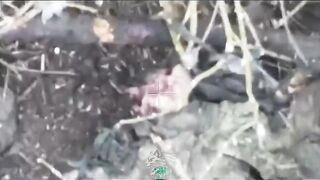 Dead Russians comp (April 2, 2026)