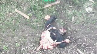 A russian invader attempted to blow himself up with a grenade
