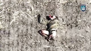 Greatest hits compilation of Ukrainian FPV drones obliterating Russians