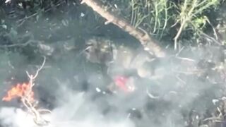 Greatest hits compilation of Ukrainian FPV drones obliterating Russians