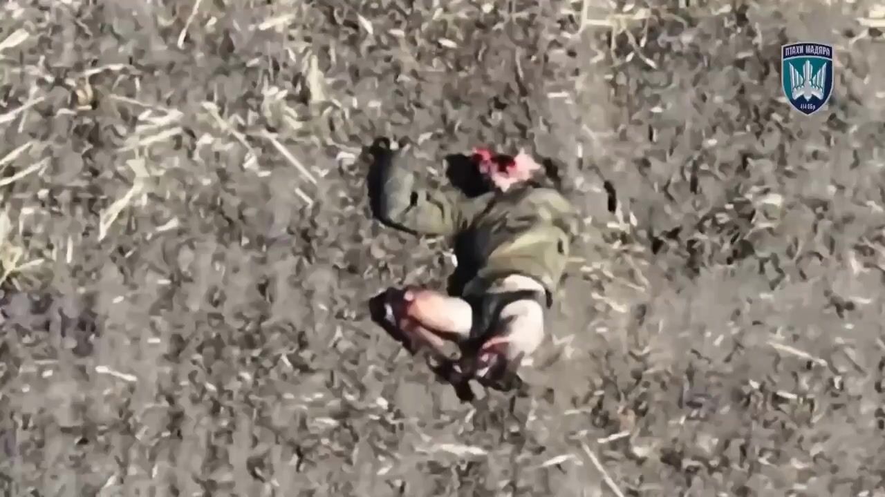 Greatest hits compilation of Ukrainian FPV drones obliterating Russians