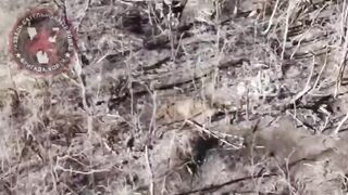 Ukrainian just suicide for no reason, literally.