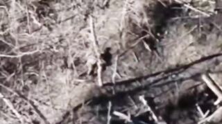 Ukrainian just suicide for no reason, literally.