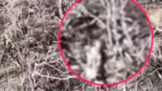 Ukrainian just suicide for no reason, literally.