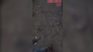 dont play with the police bro (compilation)