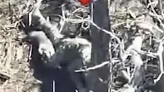 An orc was hit while trying to throw a grenade into a dugout